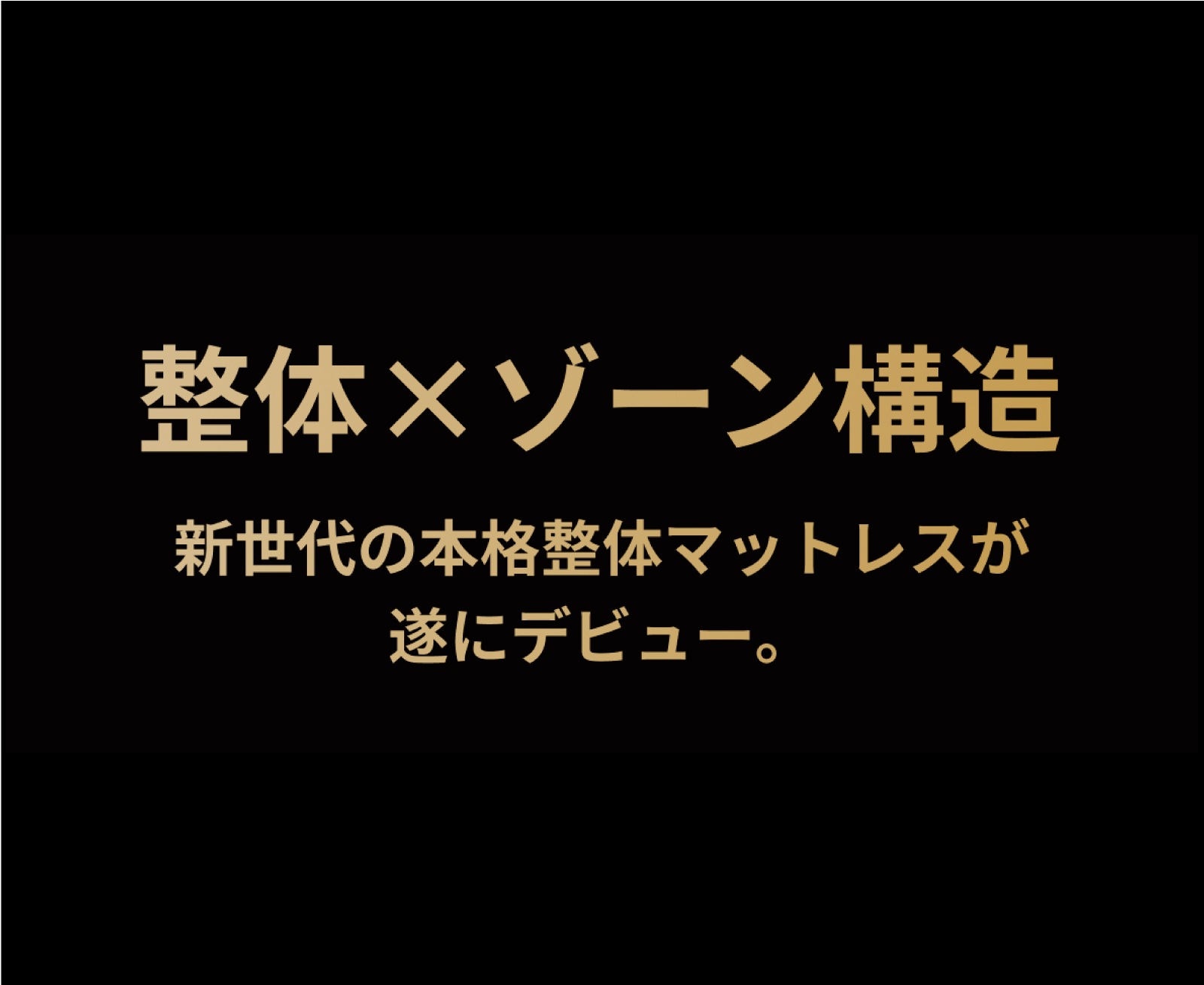 プリマレックスSEITAI　セミダブル