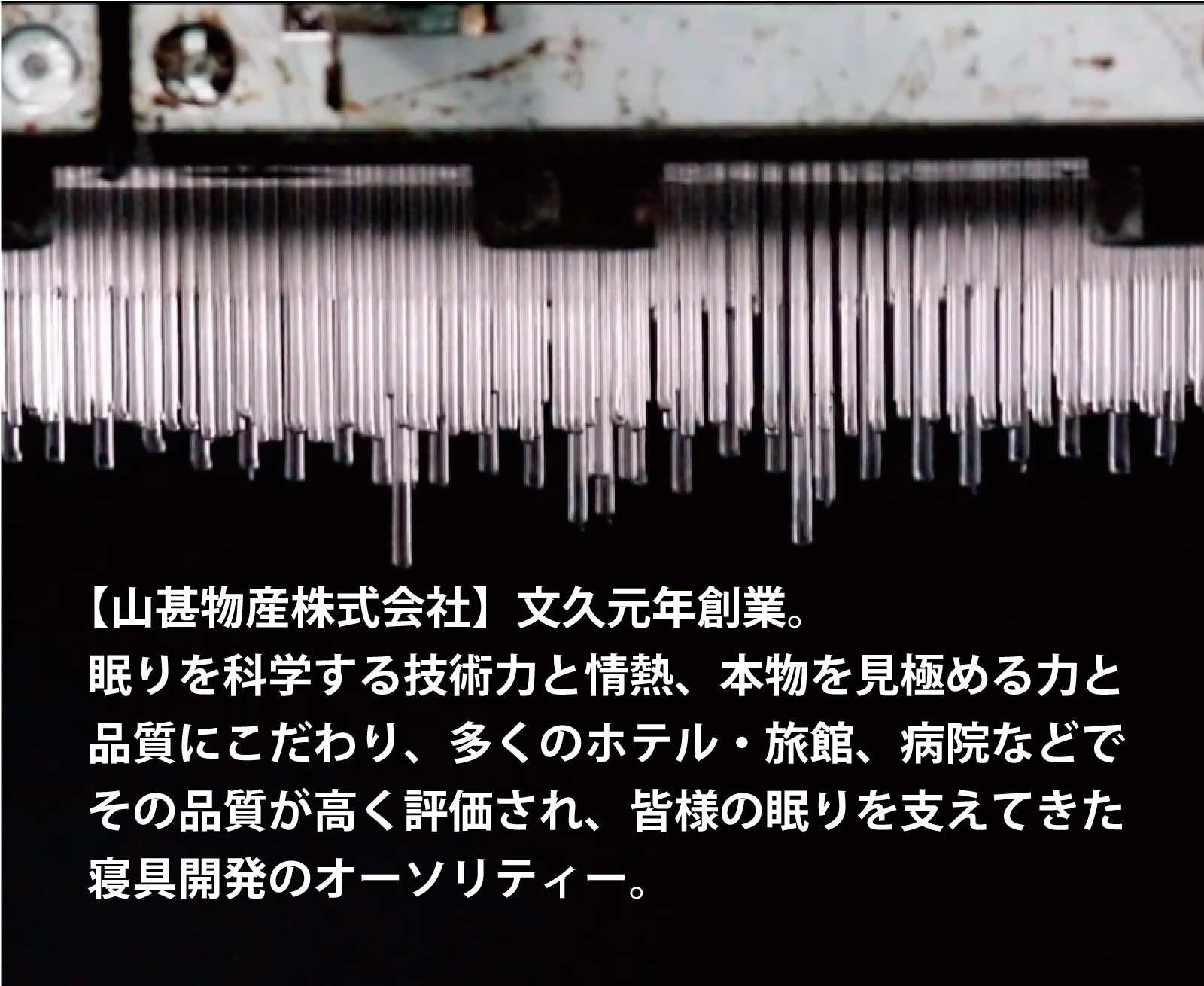 プリマレックスSEITAI　ダブル