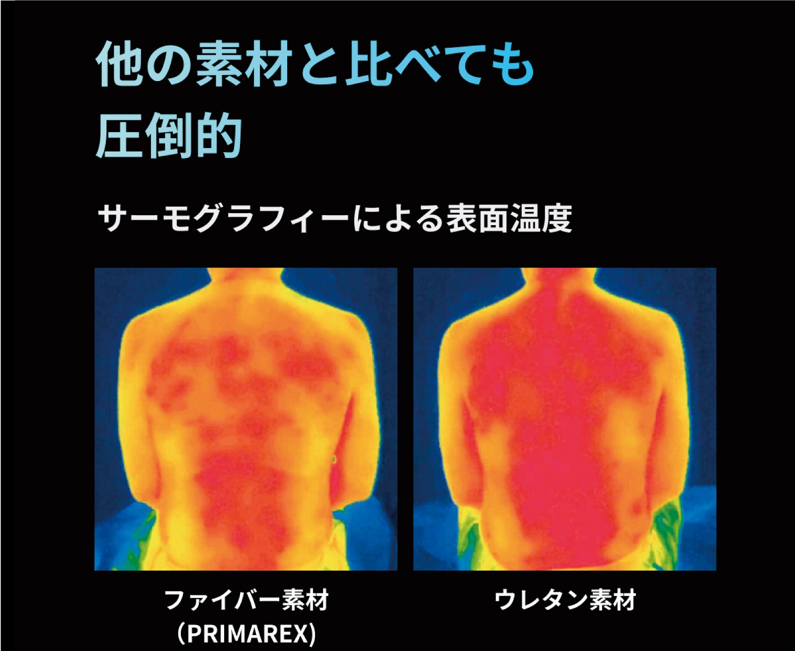プリマレックスSEITAI　ダブル
