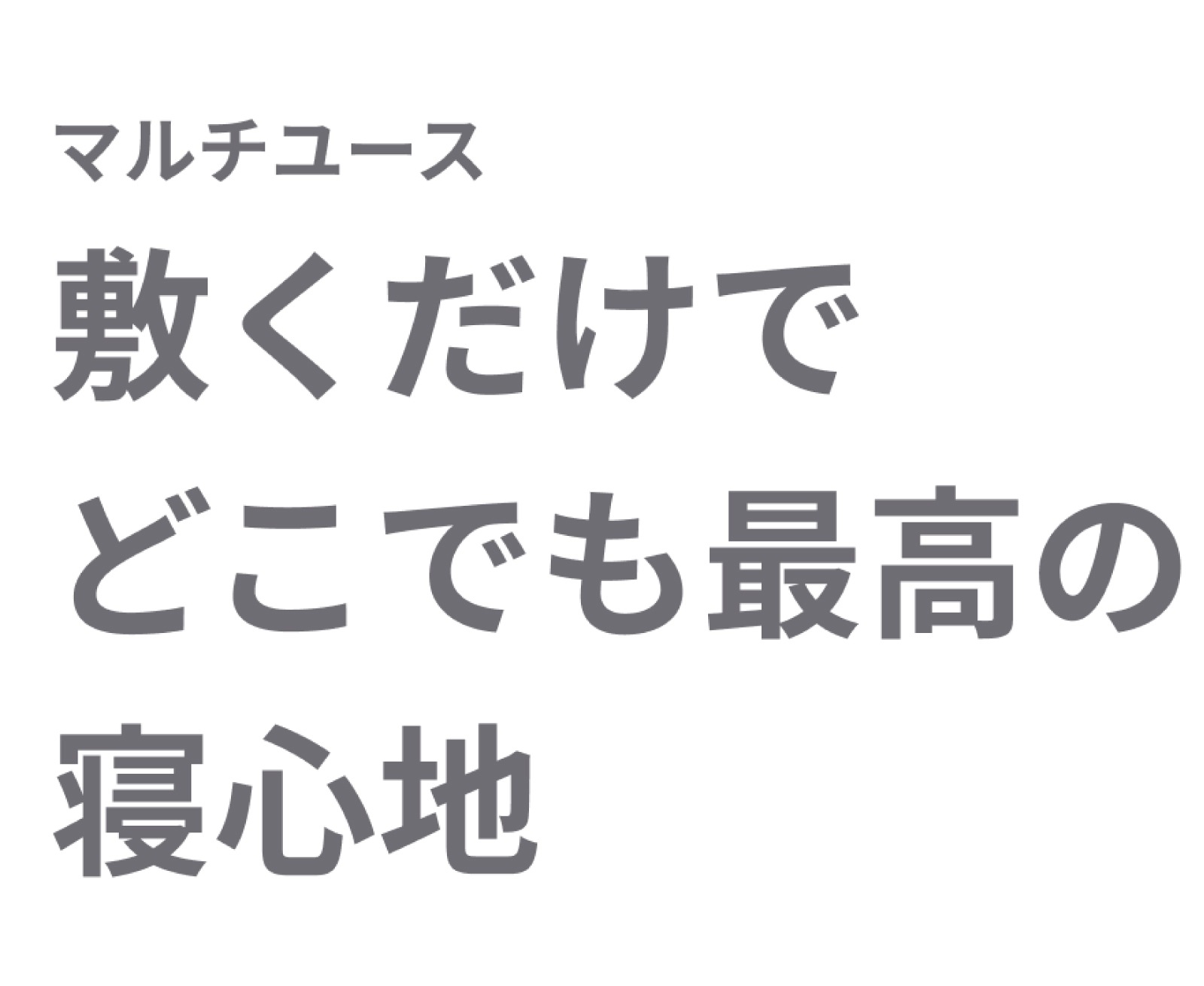 プリマレックスSEITAI　ダブル
