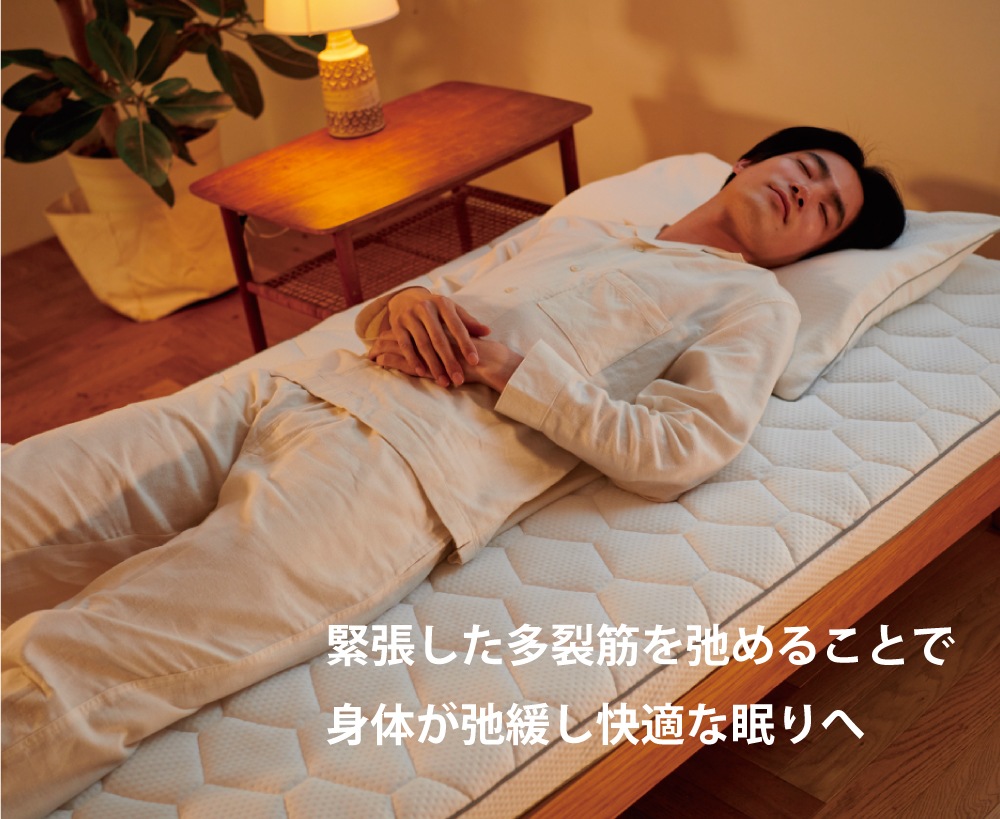 プリマレックスSEITAI　ダブル