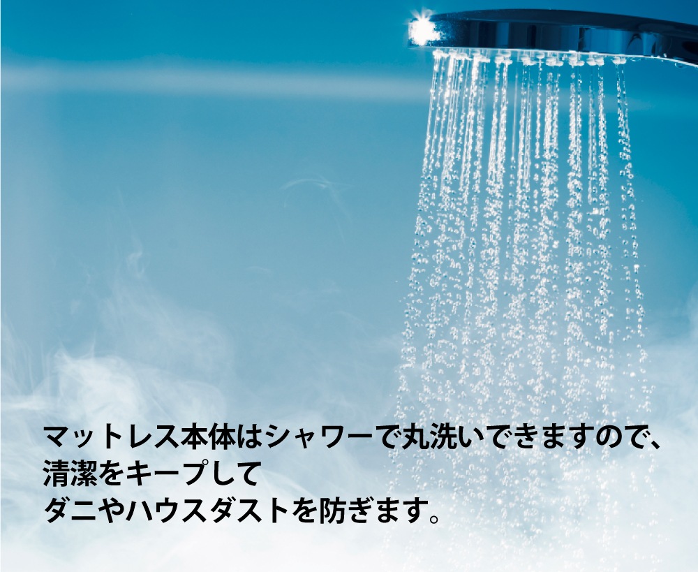 プリマレックスSEITAI　ダブル