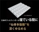 プリマレックスSEITAI　ダブル