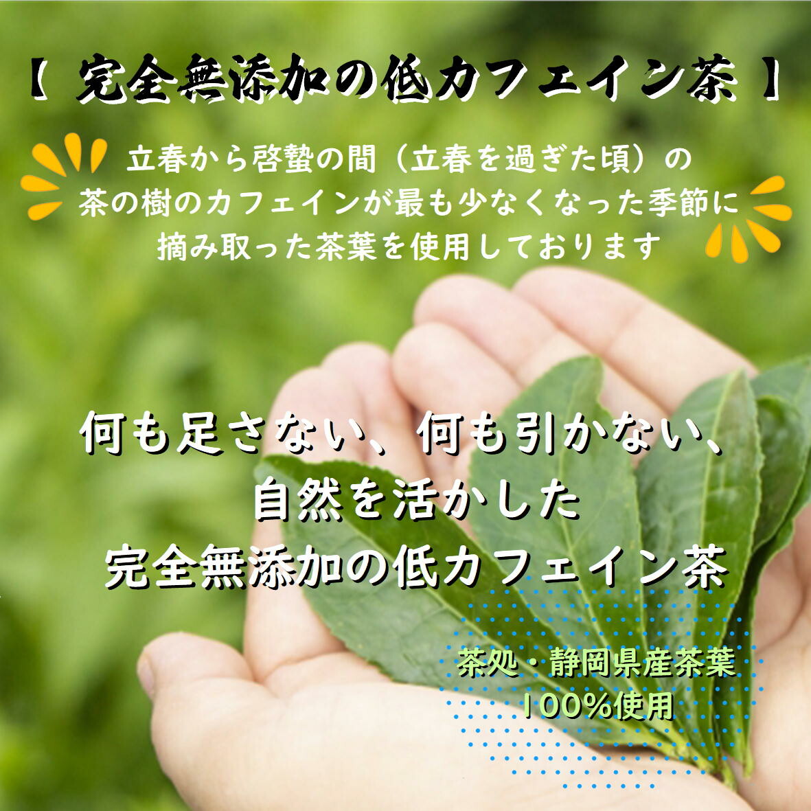 �㥫�ե����� �ۤ�����ƥ����Хå� ʪ��Ū��ˡ�ǥ��ե���������Ƥ��ʤ� ������褫���� ����̵ź�� �Ų���� �������� ���������̣ ���˭�� �ޤ��䤫 ��Ŧ������ ������ ���ե�����80�� ǥ���� �»� ���� ���ƥ��� �ݥ�ե��Ρ��� ������ �֤���� �Ҥɤ� �¿�