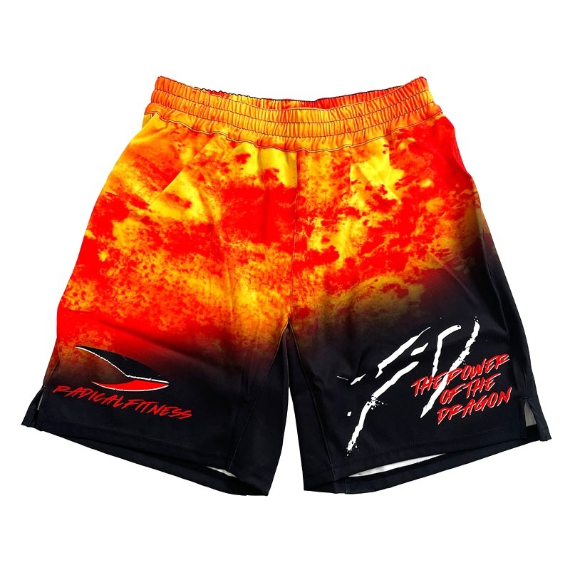 FESTA2025 FIGHT DOハーフパンツ