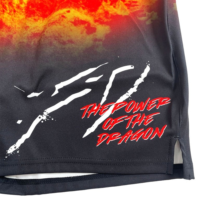 美品 ラディカルフィットネス FIGHT DO ハーフパンツ XS 美品 ラディカルフィットネスFIGHT DO ハーフパンツ ドラゴン XS