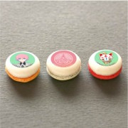 �ץ�ޥ�����3�ĥ��å�(����ƣ��Ϻ)[�������ONLINE]