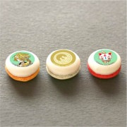 �ץ�ޥ�����3�ĥ��å�(��Ҳ�)[�������ONLINE]