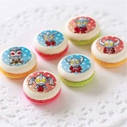 �ץ�ޥ�����6�ĥ��åȡ�B��[����ȥ�ޥ󥷥꡼��]