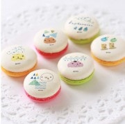 �ץ�ޥ�����6�ĥ��å�2018(B)[���ԥХ餵��]