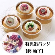 ץꥫåץ(ŵ̥Хå:ɢͮҡ)[ͷARC-V]