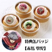 ץꥫåץ(ŵ̥Хå:)[ͷARC-V]