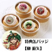 ץꥫåץ(ŵ̥Хå:ͷ)[ͷARC-V]