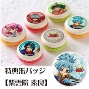 ץޥ6ĥå(ŵ̥Хå:ɡ)[ͷARC-V]