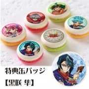 ץޥ6ĥå(ŵ̥Хå:Ȼ)[ͷARC-V]