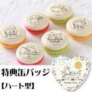 �ץ�ޥ�����6�ĥ��å�(D)����ŵ�̥Хå�:�ϡ��ȷ���[�����ڥ�����]