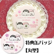 メッセージ入り】プリケーキ（マリン柄）【特典缶バッジ付き