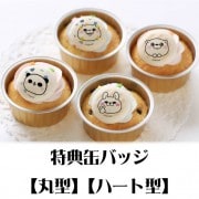 �ץꥫ�åץ�������100�󽸹�ˡ���ŵ�̥Хå��դ���[��å����������]