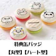 �ץ�ޥ�����6�ĥ��åȡ�100�󽸹�ˡ���ŵ�̥Хå��դ���[��å����������]