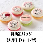 �ץ�ޥ�����6�ĥ��åȡʥ�֥�֤��������󤯤ޤ���ˡ���ŵ�̥Хå��դ���[��å����������]