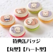 �ץ�ޥ�����6�ĥ��åȡʤۤ�����ˡ���ŵ�̥Хå��դ���[�Ȥ�����Ϥ���]