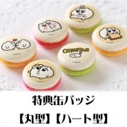 �ץ�ޥ�����6�ĥ��åȡʤ��ߤ���ˡ���ŵ�̥Хå��դ���[���ߤ���]