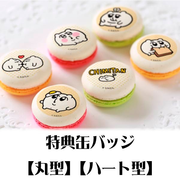 ニャカロン詰め合わせ（10個入）缶 | ジョセフィーニャ