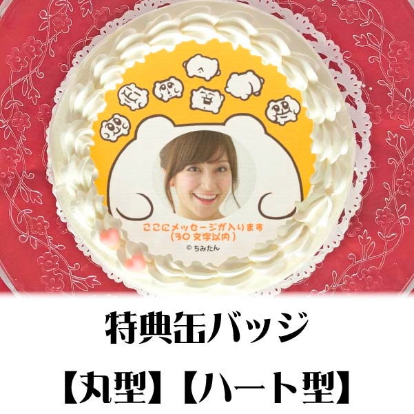 写真メッセージ入り】プリケーキ（ちみたんA）【特典缶バッジ付き】[ち