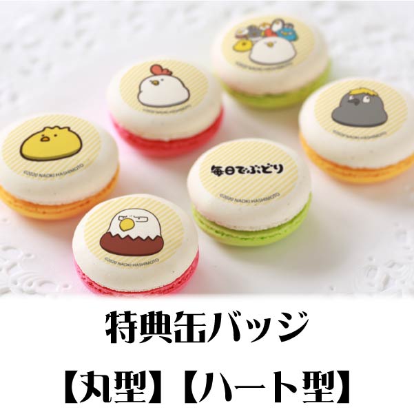 プリマカロン6個セット（A）【特典缶バッジ付き】[毎日でぶどり