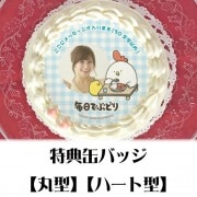 【写真メッセージ入り】プリケーキ（カレーライスデザイン）【特典缶バッジ付き】[毎日でぶどり]|毎日でぶどり|ファンシーキャラクター