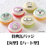 �ץ�ޥ�����6�ĥ��åȡʤ��ޤ���ˡ���ŵ�̥Хå��դ���[��å����������]