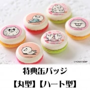 �ץ�ޥ�����6�ĥ��åȡʤ̤����ޡˡ���ŵ�̥Хå��դ���[��å����������]