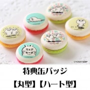 �ץ�ޥ�����6�ĥ��åȡʤ�������������ޤ�����̤����ޡˡ���ŵ�̥Хå��դ���[��å����������]