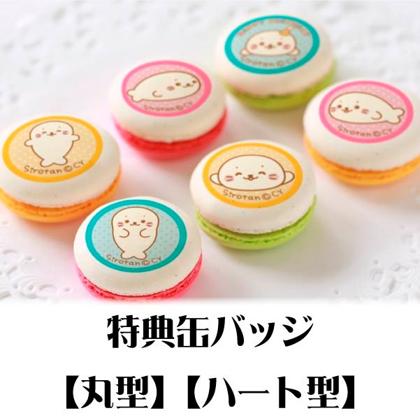 ♥マカロン様確認用♥