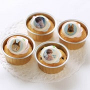 �ץꥫ�åץ������ʥϥ��ˡ���ŵ�̥Хå��դ���[���ȥץ��ǥ塼������EVOL��LOVE��]