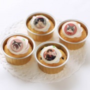 �ץꥫ�åץ������ʥ���ˡ���ŵ�̥Хå��դ���[���ȥץ��ǥ塼������EVOL��LOVE��]