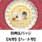 �ڼ̿���å���������ۥץꥱ�����ʤ�����٤���������ˡ���ŵ�̥Хå��դ���[��������]