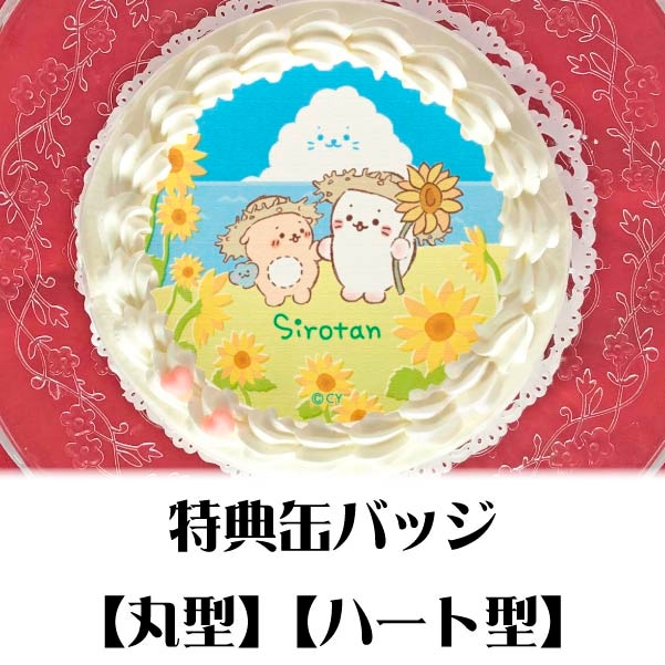 プリケーキ（ひまわり）【特典缶バッジ付き】[しろたん] | ファンシー