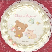 5ǯǰץꥱʥ㥤(B)ˡŵ̥Хåդ[å]