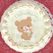 5ǯǰץꥱʥ㥤(A)ˡŵ̥Хåդ[å]