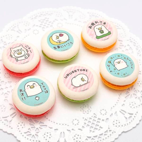 プリマカロン6個セット（B柄）【特典缶バッジ付き】[うるせぇトリ