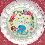 ץꥱʥ饤եڥͥڡˡŵ̥Хåդ[äڥͥ]