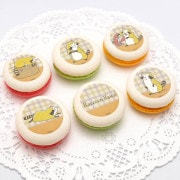 ���饷�å��ǥ�����ץ�ޥ�����6�ĥ��åȡ�B���ˡ���ŵ�̥Хå��դ���[���餤���ޥ饹����]