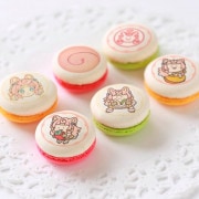 ץޥ6ĥåȡŵ̥Хåդ[ͤݤ]