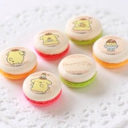 ץޥ6ĥåȡʥ֥ǥˡŵ̥Хåդ[ݥݥץ]