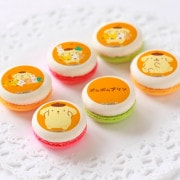 ץޥ6ĥåȡʥץʤ褷ǥˡŵ̥Хåդ[ݥݥץ]