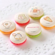 ץޥ6ĥåȡʤޤˡŵ̥Хåդ[ޤդӤ]