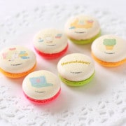 ץޥ6ĥåȡʥϥԥͥޥ롼ˡŵ̥Хåդ[ޤդӤ]