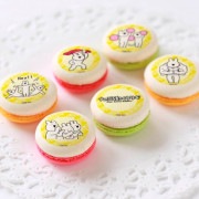 �ץ�ޥ�����6�ĥ��åȡʥ������ȥͥ��ʱ���ˡˡ���ŵ�̥Хå��դ���[�����֤�ư��������]