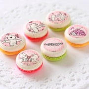 �ץ�ޥ�����6�ĥ��åȡʥ������ȥͥ��ʥ�֡ˡˡ���ŵ�̥Хå��դ���[�����֤�ư��������]